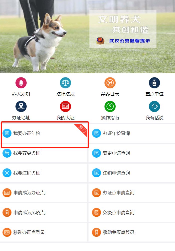 武汉犬证年检怎么办？附指南