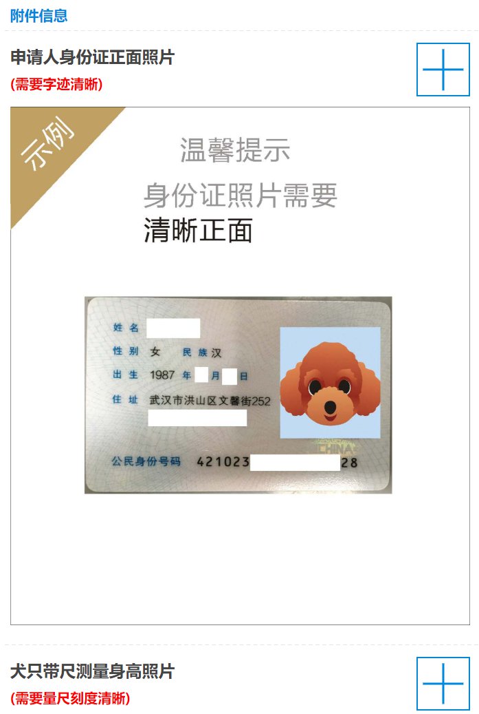 武汉犬证年检怎么办？附指南