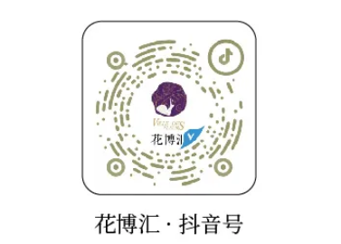 2025武汉花博汇五一有烟花秀吗？