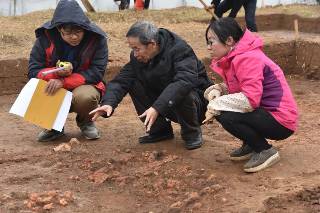 武汉重大新发现，入选全国十大