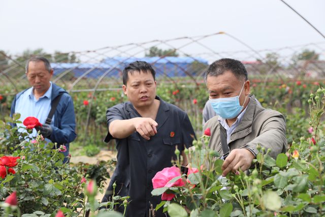 南阳市卧龙区法院：现场勘验护花香 司法鉴定零距离