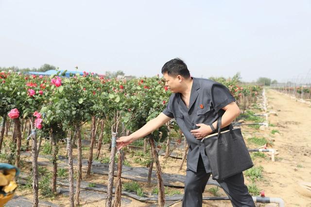 南阳市卧龙区法院：现场勘验护花香 司法鉴定零距离