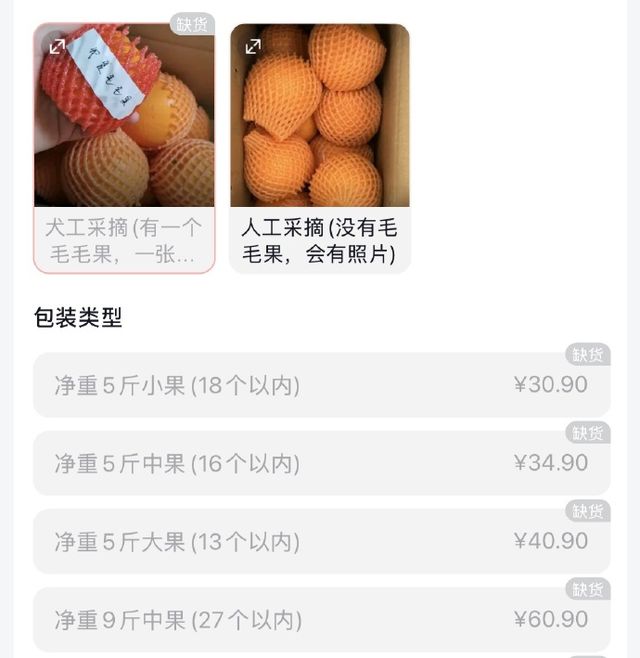 “毛毛果”已缺货！摘橙子的网红小狗“毛毛”突发心脏病离世