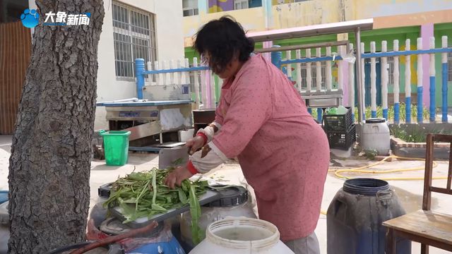 新乡县：废料变肥料 垃圾分类“分”出乡村发展红利