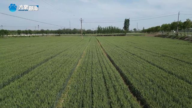 新乡县：废料变肥料 垃圾分类“分”出乡村发展红利