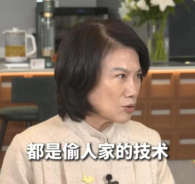 雷军无语，董明珠嘲讽小米汽车，称格力电车十几年从没有火灾事故