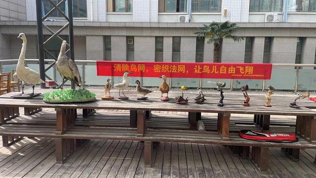 郑州市组织开展2025年“爱鸟周”宣传活动