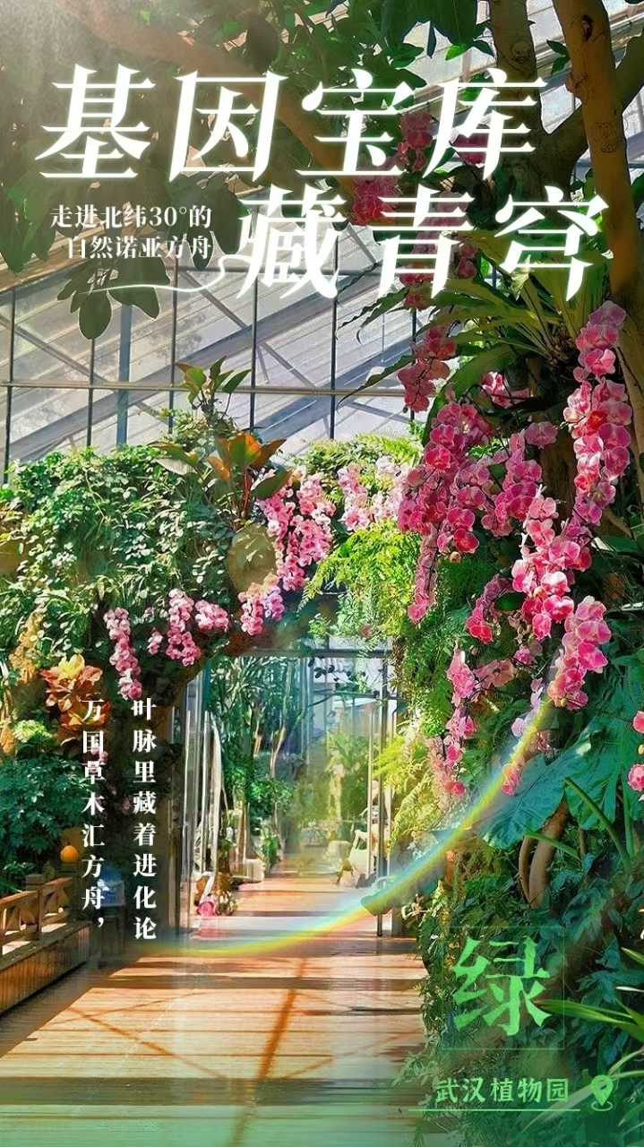 世界名湖 人民乐园|东湖九色 泼墨染湖光