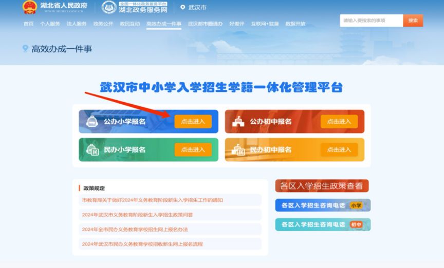 2025武汉东湖高新区幼升小摸底补录审核流程