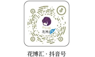 武汉花博汇2025年端午节烟花秀活动时间+购票入口