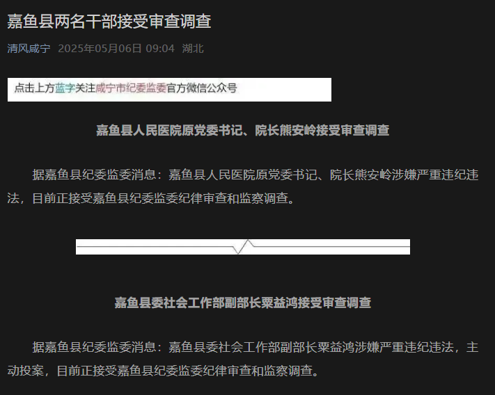 湖北两人被查
