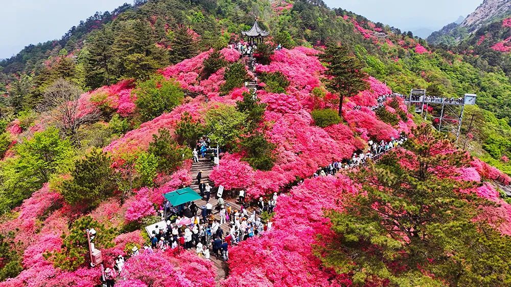5月1日 湖北省600余家A级旅游景区接待人次334.31万人次