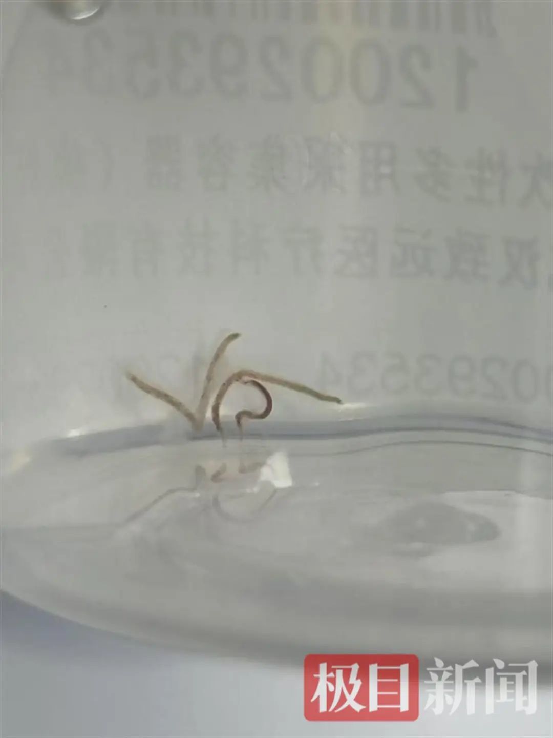 微信图片_20250502090626.jpg