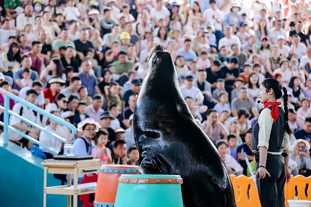 5月1日 湖北省600余家A级旅游景区接待人次334.31万人次