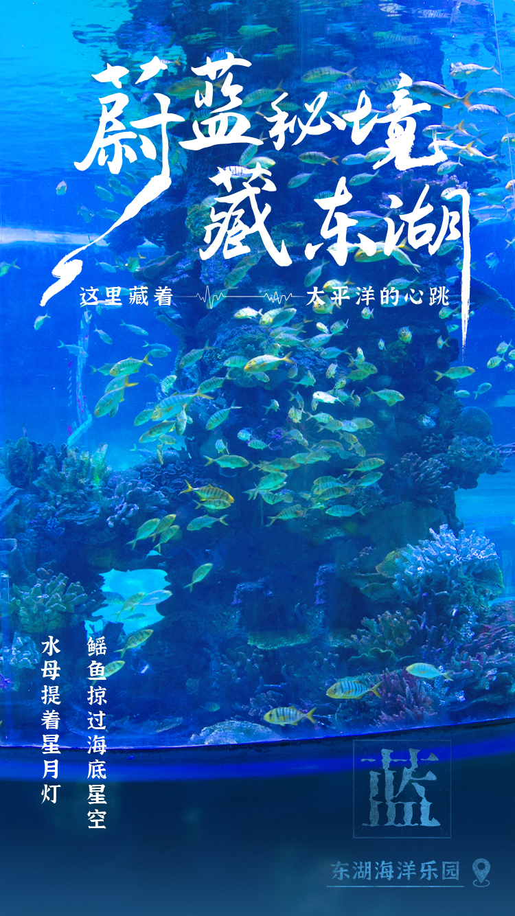 世界名湖 人民乐园|东湖九色 泼墨染湖光