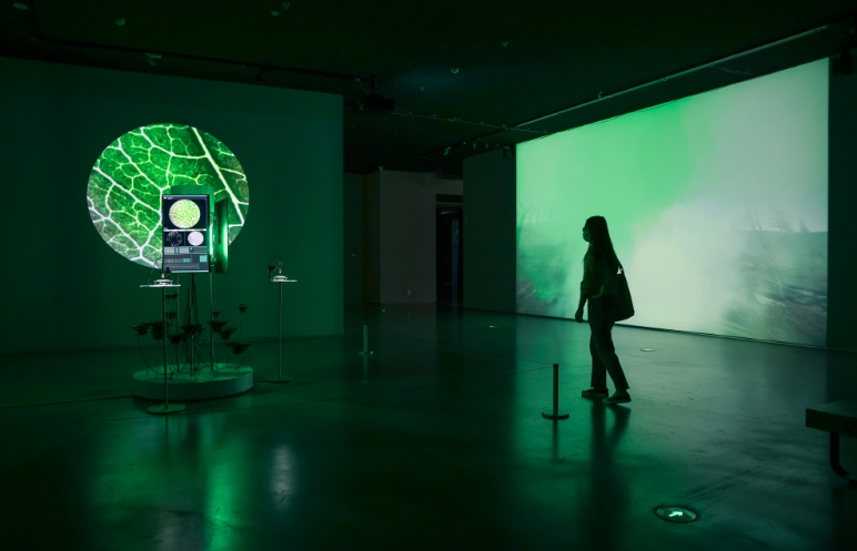 逛馆看展，“艺术之城”点亮五一假期