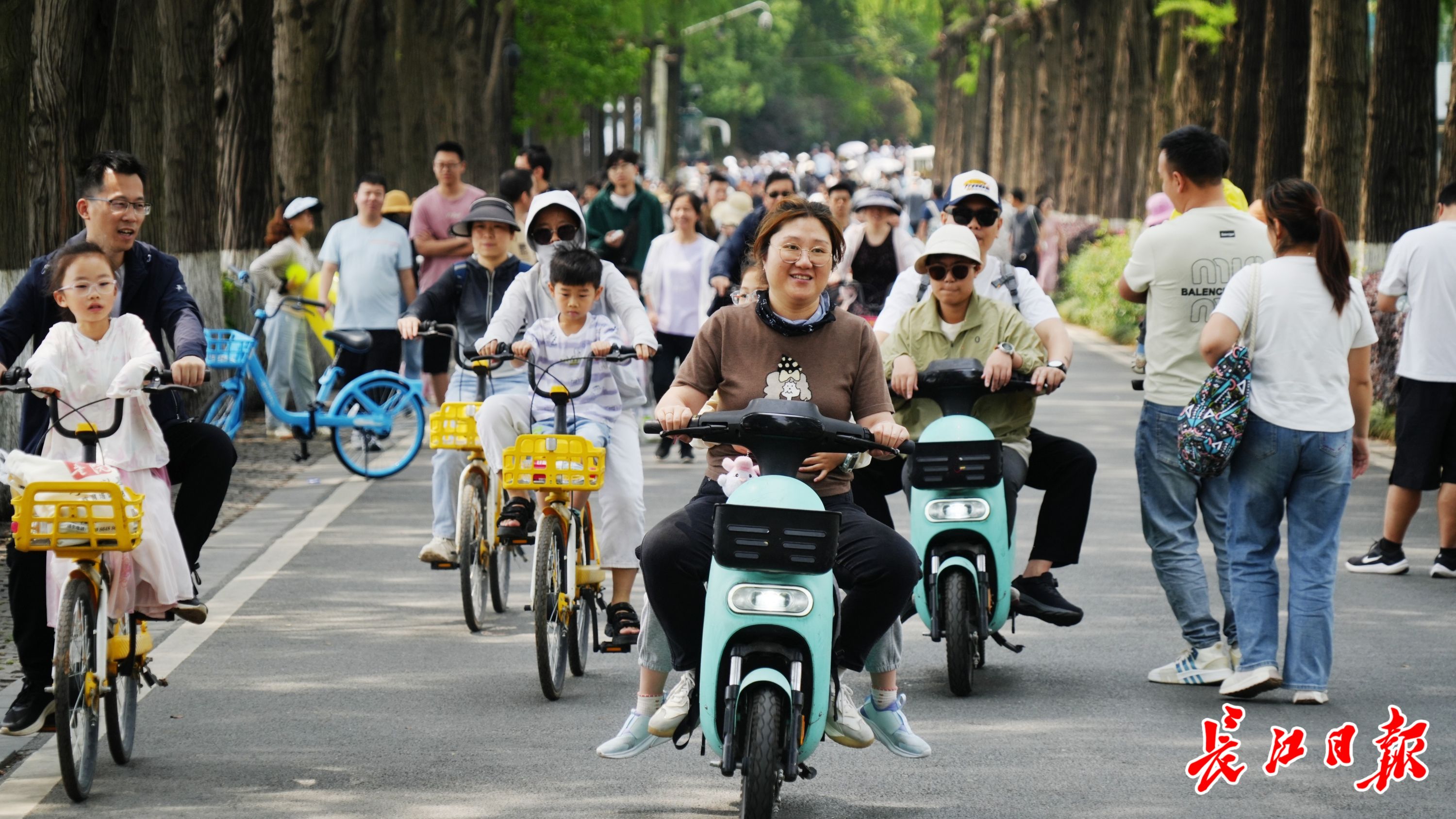 湖光跃动处，181.8万游客在东湖与城市共呼吸