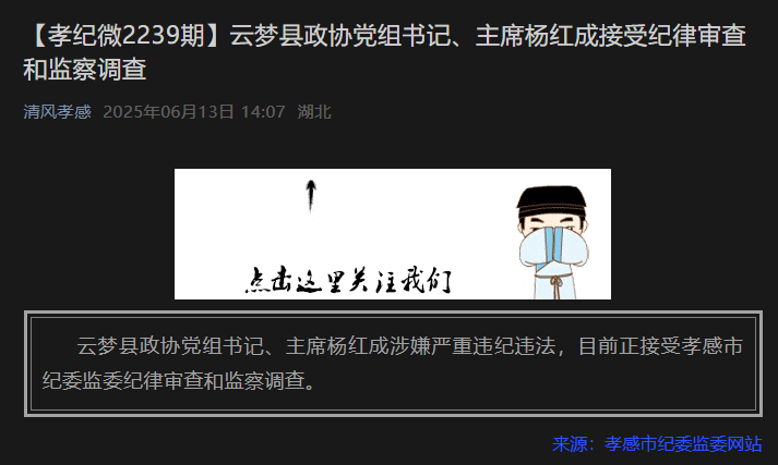 湖北又有两人被查