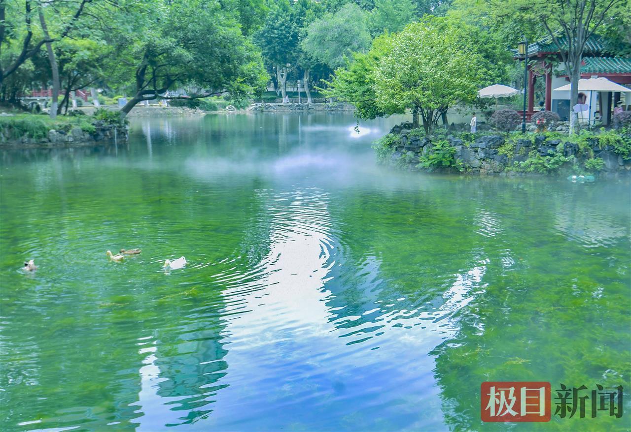 雾中仙景