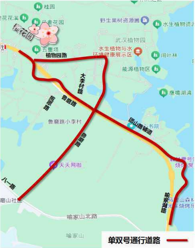 武汉东湖风景区限行限号政策规定2025
