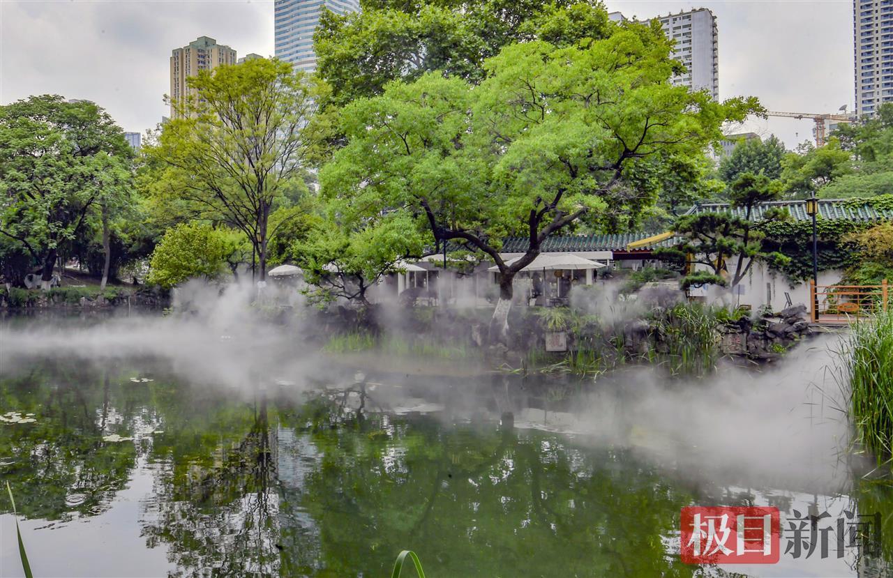 雾中仙景