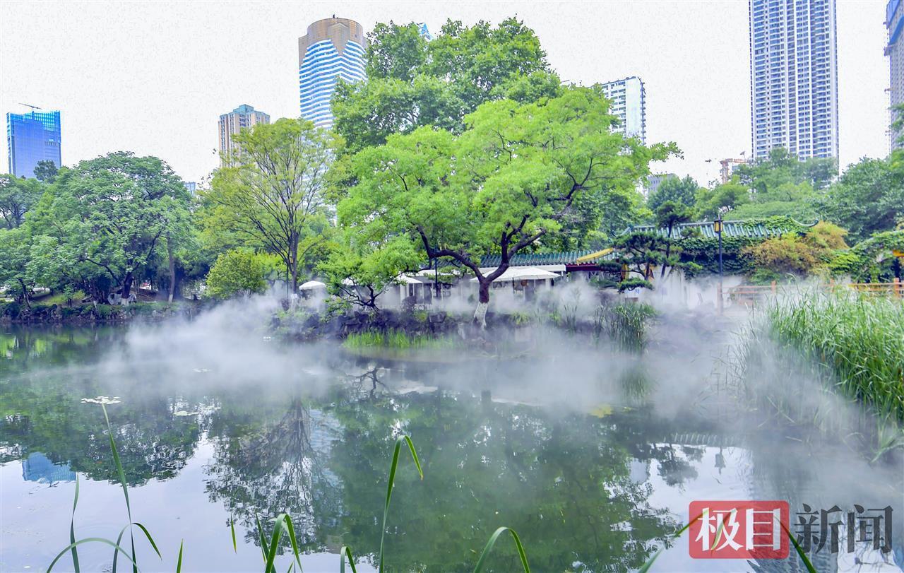 雾中仙景