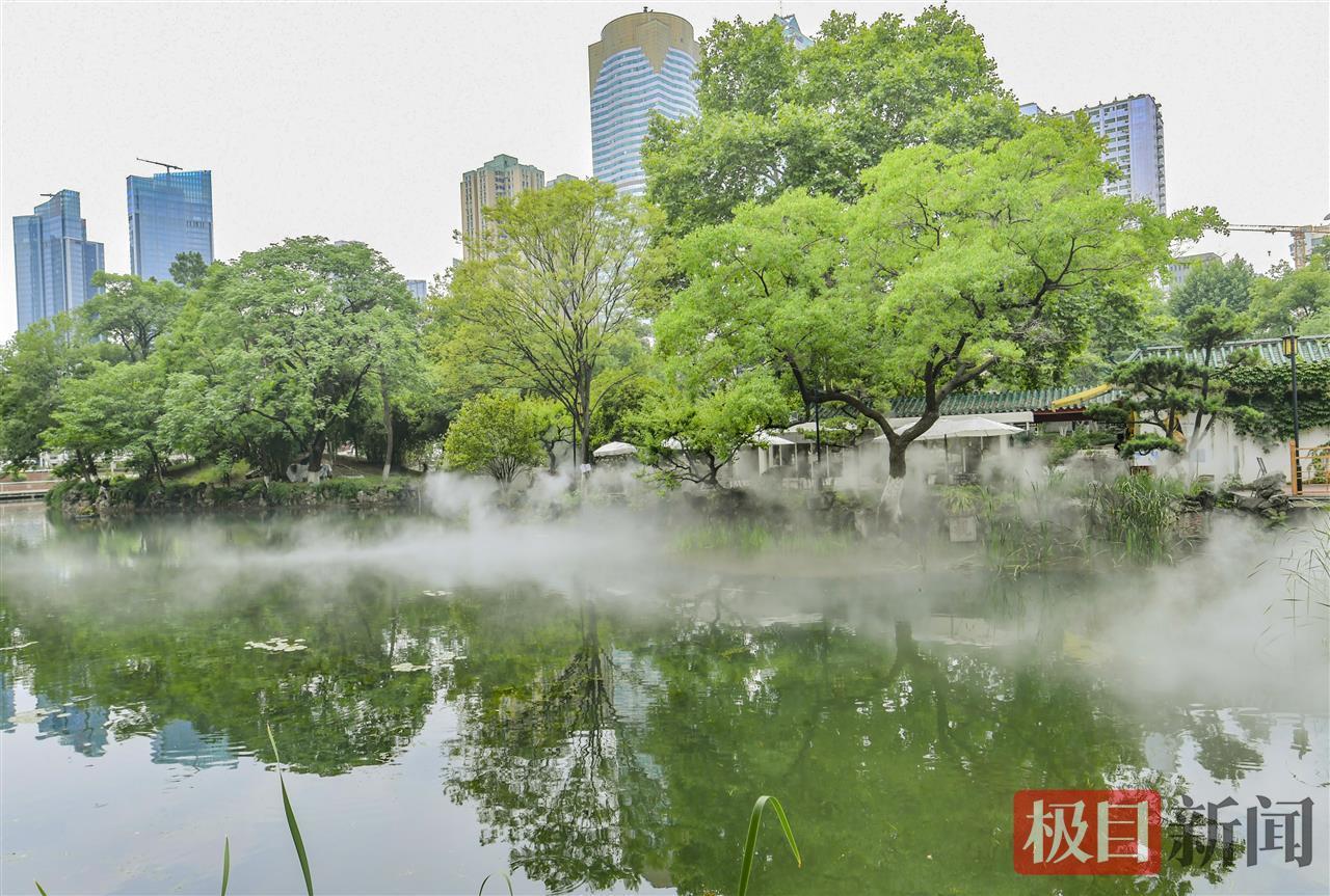 雾中仙景