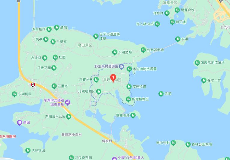 武汉植物园在哪里怎么去？附交通指南