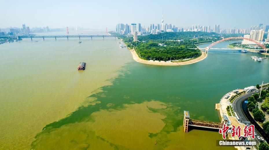 武汉两江交汇处现“泾渭分明”景观