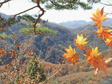 雅图高新上市关键时刻遭遇专利侵权纠纷，垫底研发与畸高毛利率引发关注